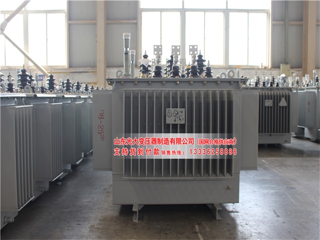 衡水S22-4000KVA油浸式变压器